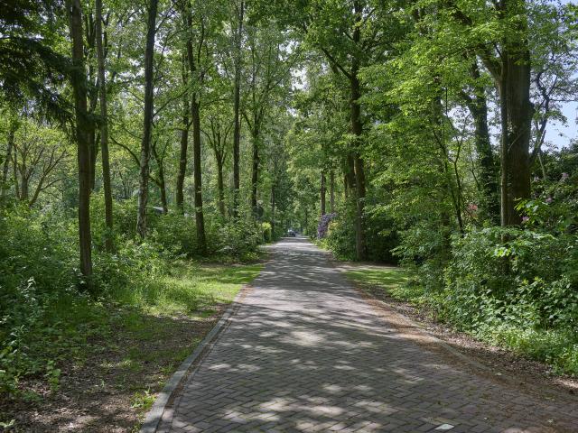 Immediate Surroundings (<1 km)