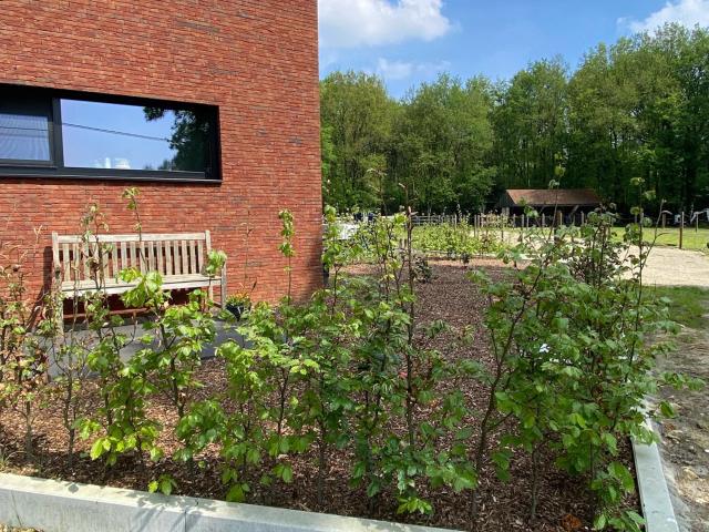 Extérieur maison de vacances