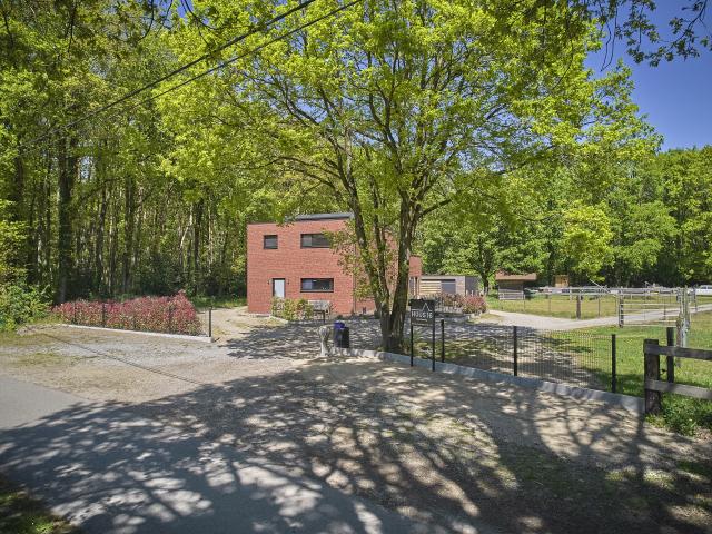 Außenseite Ferienhaus