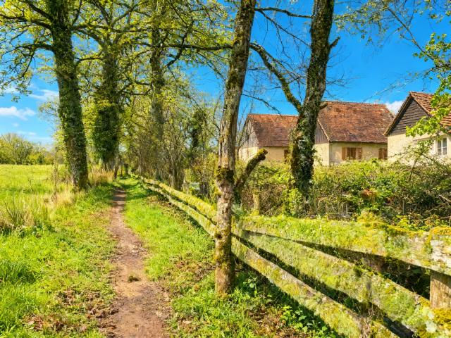 Aussicht vom Ferienhaus