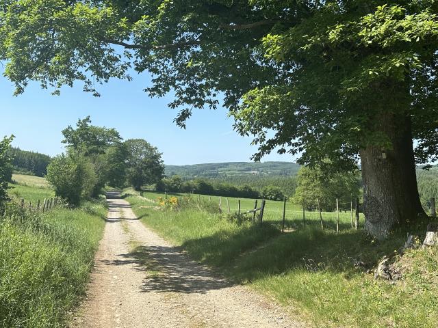 Dans les environs (1-5 km)