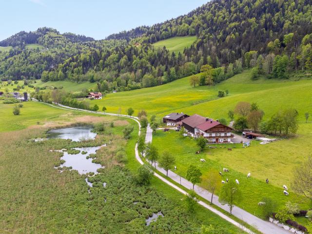 Immediate Surroundings (<1 km)