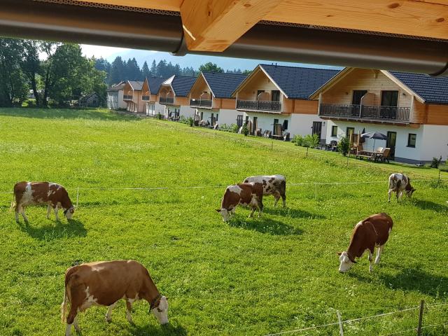 View from Holiday Home