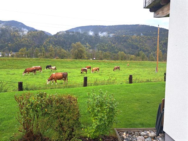 Immediate Surroundings (<1 km)