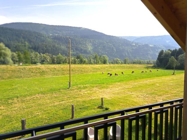 View from Holiday Home