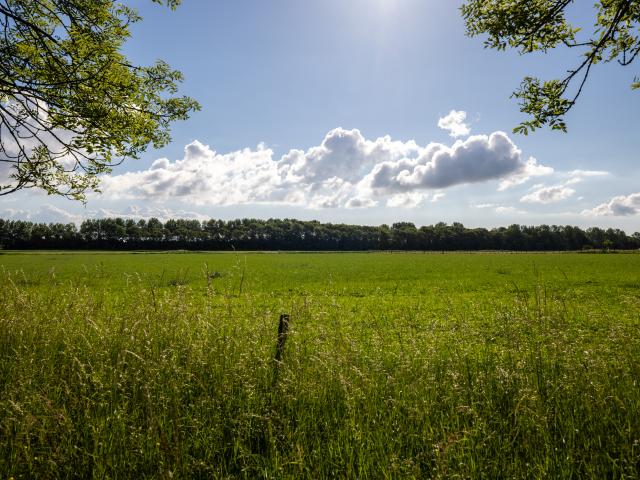 A proximité directe (<1 km)