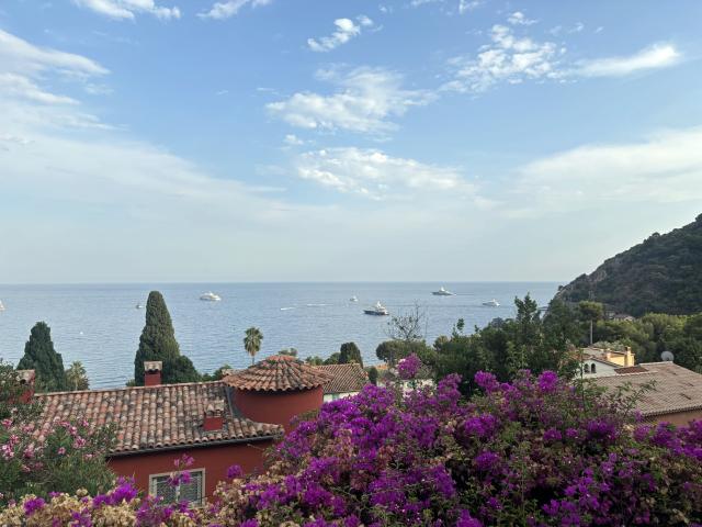 Aussicht vom Ferienhaus