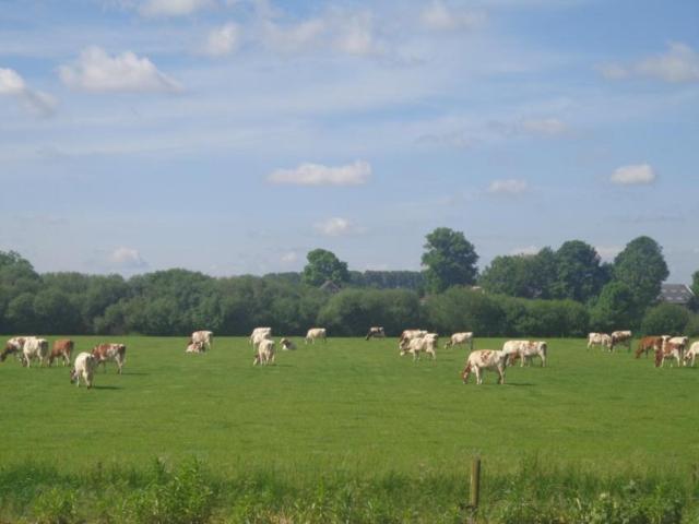 A proximité directe (<1 km)