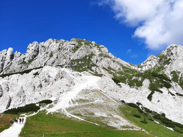 Region (>5 km)