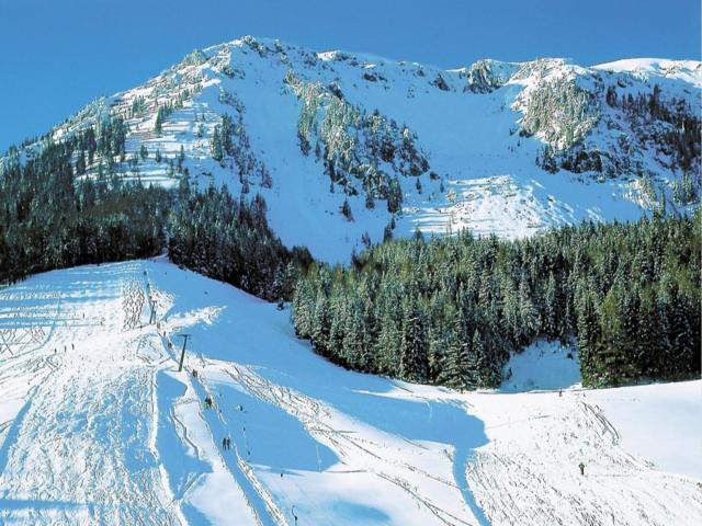 A proximité directe (<1 km)