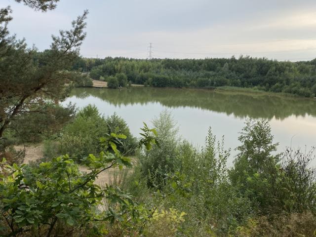 Directe omgeving (<1 km)