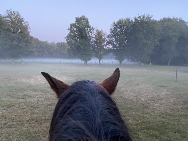 Directe omgeving (<1 km)