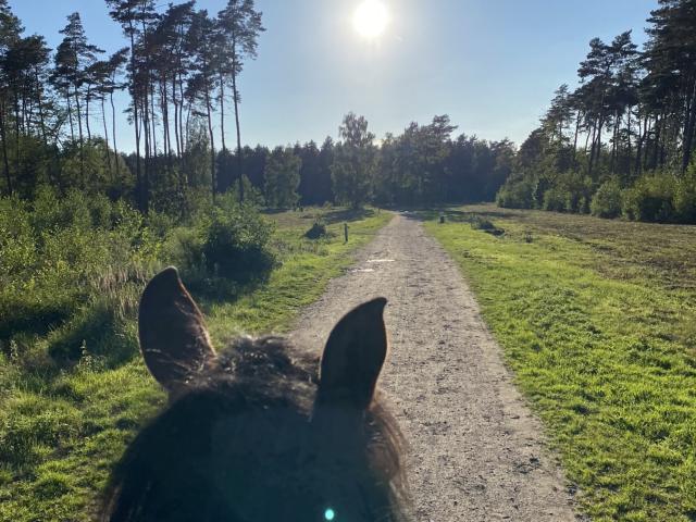 Directe omgeving (<1 km)