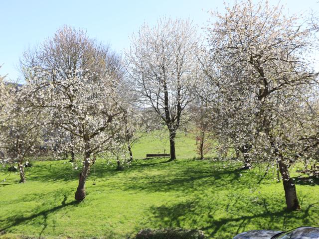 Uitzicht van vakantiehuis