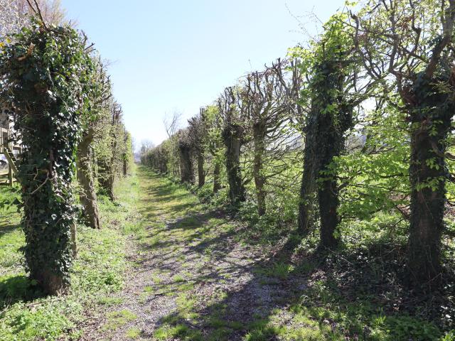 Directe omgeving (<1 km)