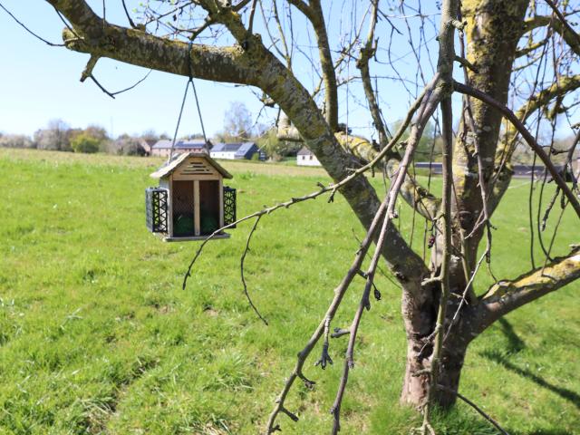 Directe omgeving (<1 km)