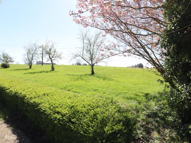 Directe omgeving (<1 km)