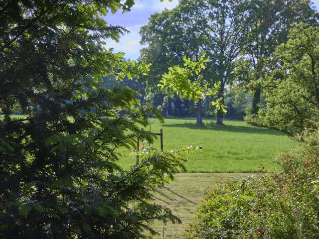 Aussicht vom Ferienhaus
