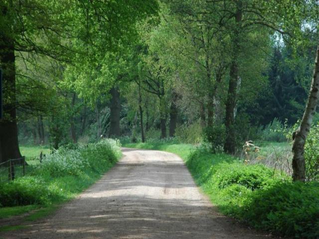 A proximité directe (<1 km)