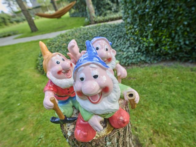 Ambiente / Nahaufnahme