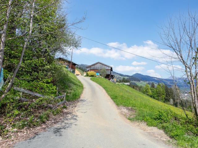 Immediate Surroundings (<1 km)