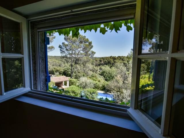 Aussicht vom Ferienhaus