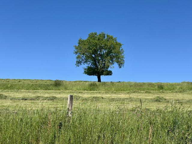 Umgebung (1-5 km)