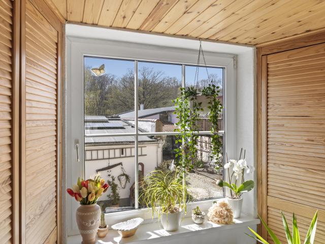 View from Holiday Home