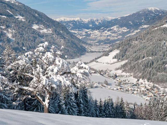 Immediate Surroundings (<1 km)