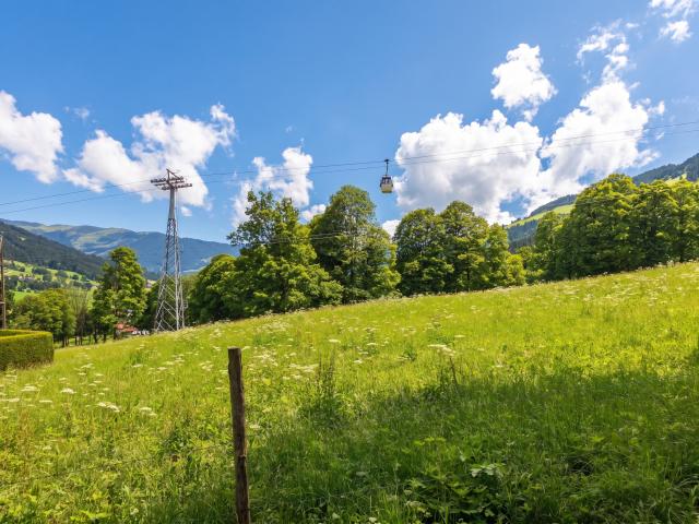 A proximité directe (<1 km)