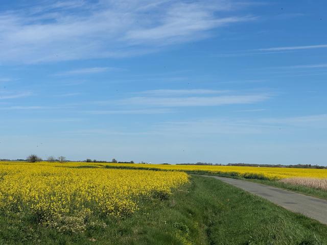Surroundings (1-5 km)