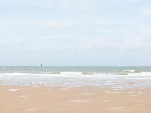 Dans les environs (1-5 km)