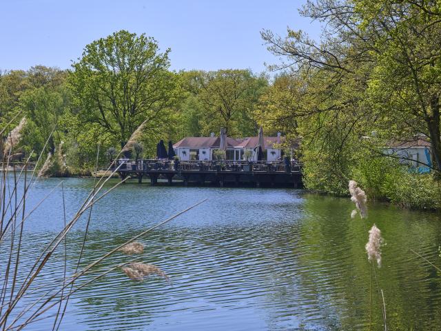 A proximité directe (<1 km)