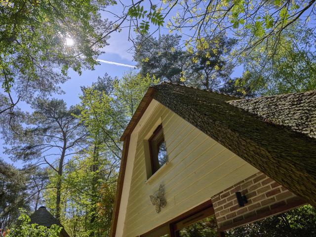 Ambiance / plan rapproché