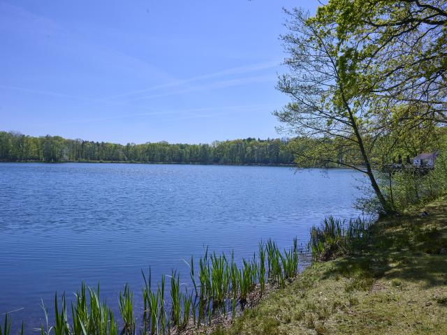 A proximité directe (<1 km)