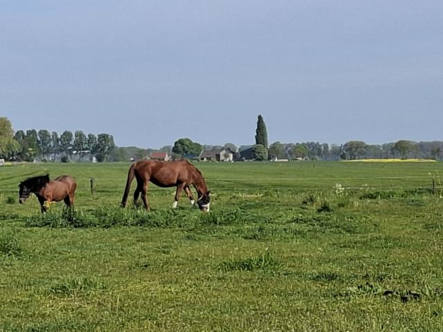Immediate Surroundings (<1 km)