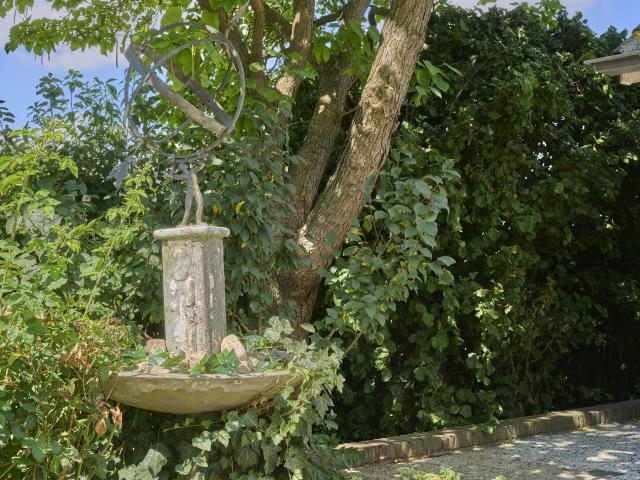 Tuin