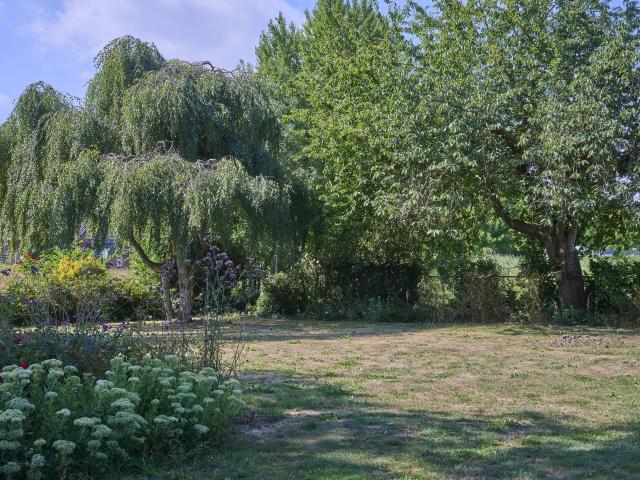 Tuin