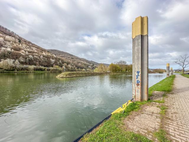 Directe omgeving (<1 km)