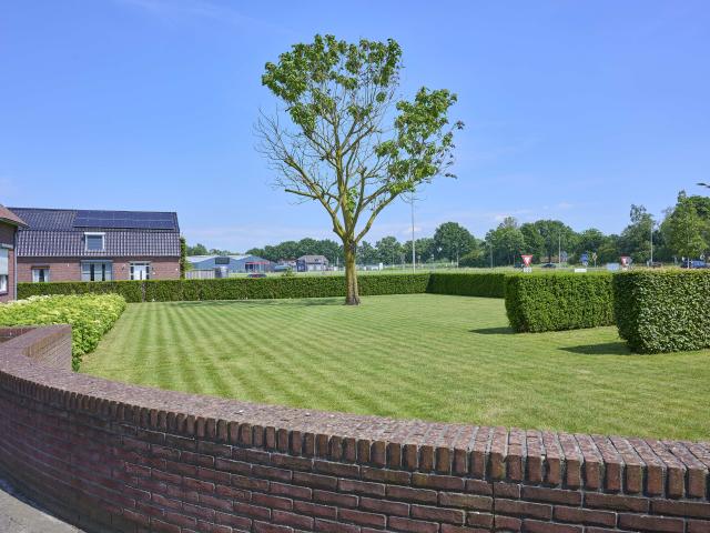 Tuin