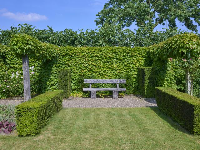 Tuin