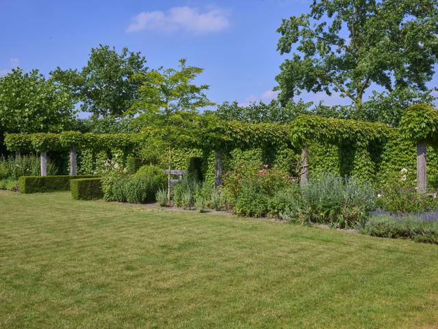 Tuin