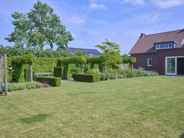 Tuin