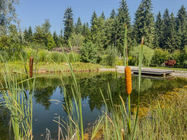 Faciliteiten en service vakantiepark