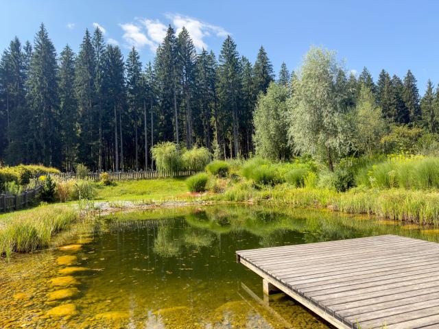 Faciliteiten en service vakantiepark