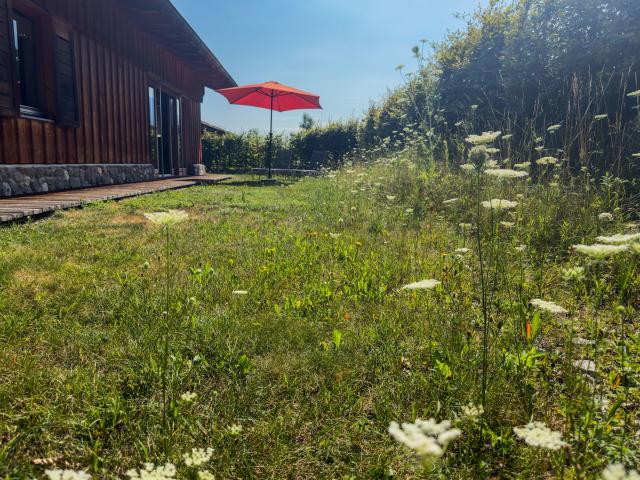 Tuin