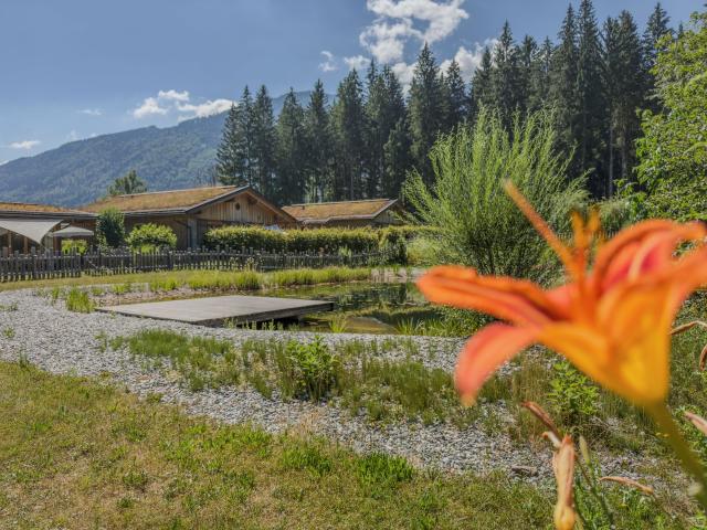 Holiday Park Facilities and Services