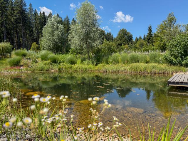 Holiday Park Facilities and Services