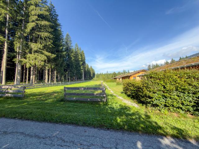 Immediate Surroundings (<1 km)