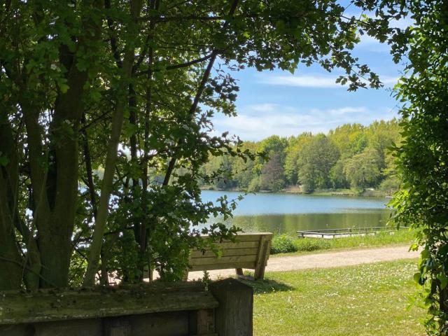 Aussicht vom Ferienhaus